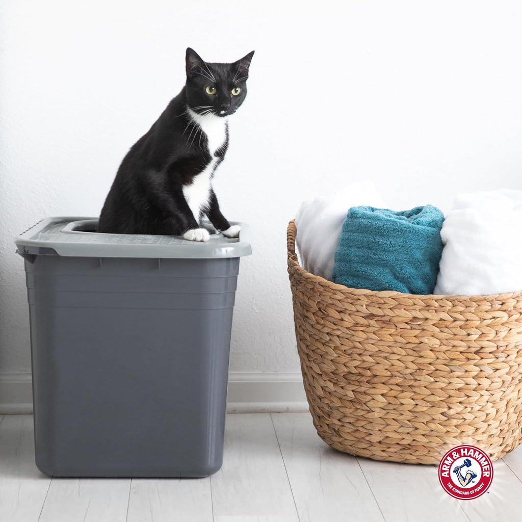 Arm & Hammer Caja de arena prémium con filtro para limpiar patas y microbios, fabricada en Estados Unidos