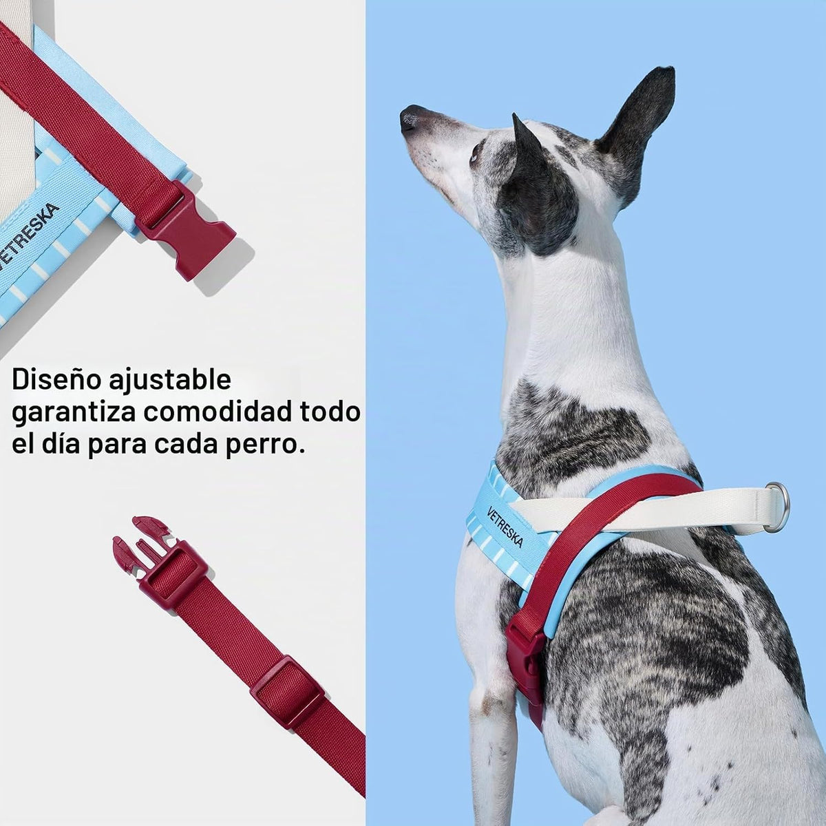 VETRESKA Juego de arnés y correa para perro, arnés ajustable para mascotas
