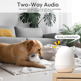 Rraycom - Cámara interior 5G y 2.4G, cámara de seguridad de 2K con...
