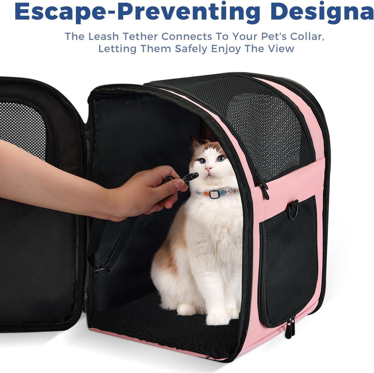 Apollo Walker - Mochila portadora para gatos, marco de soporte