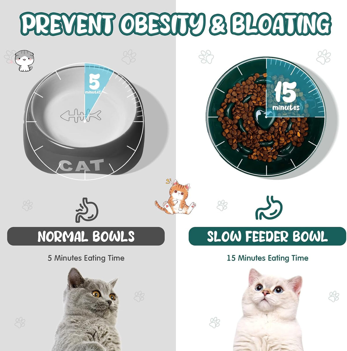 Tioncy - Cuenco elevado de cerámica para gatos (2 unidades), color verde