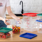 Lallisa 6 recipientes de almacenamiento de alimentos con tapas, recipientes de alimentos cuadrados transparentes con asas, contenedor de policarbonato para restaurante, juego de almacenamiento de cereales comerciales para cocina, 2, 4 y 6 cuartos de galón