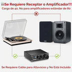 Saiyin - Altavoz pasivo Woofer de 5 pulgadas, 40 W x 2, tweeter de cúpula de seda de 0.787 in, 4 ohmios