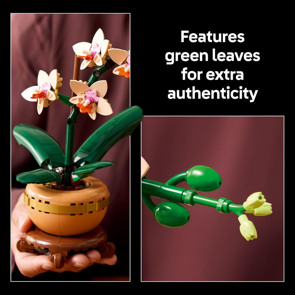 LEGO Botanicals - Juego de construcción de orquídeas