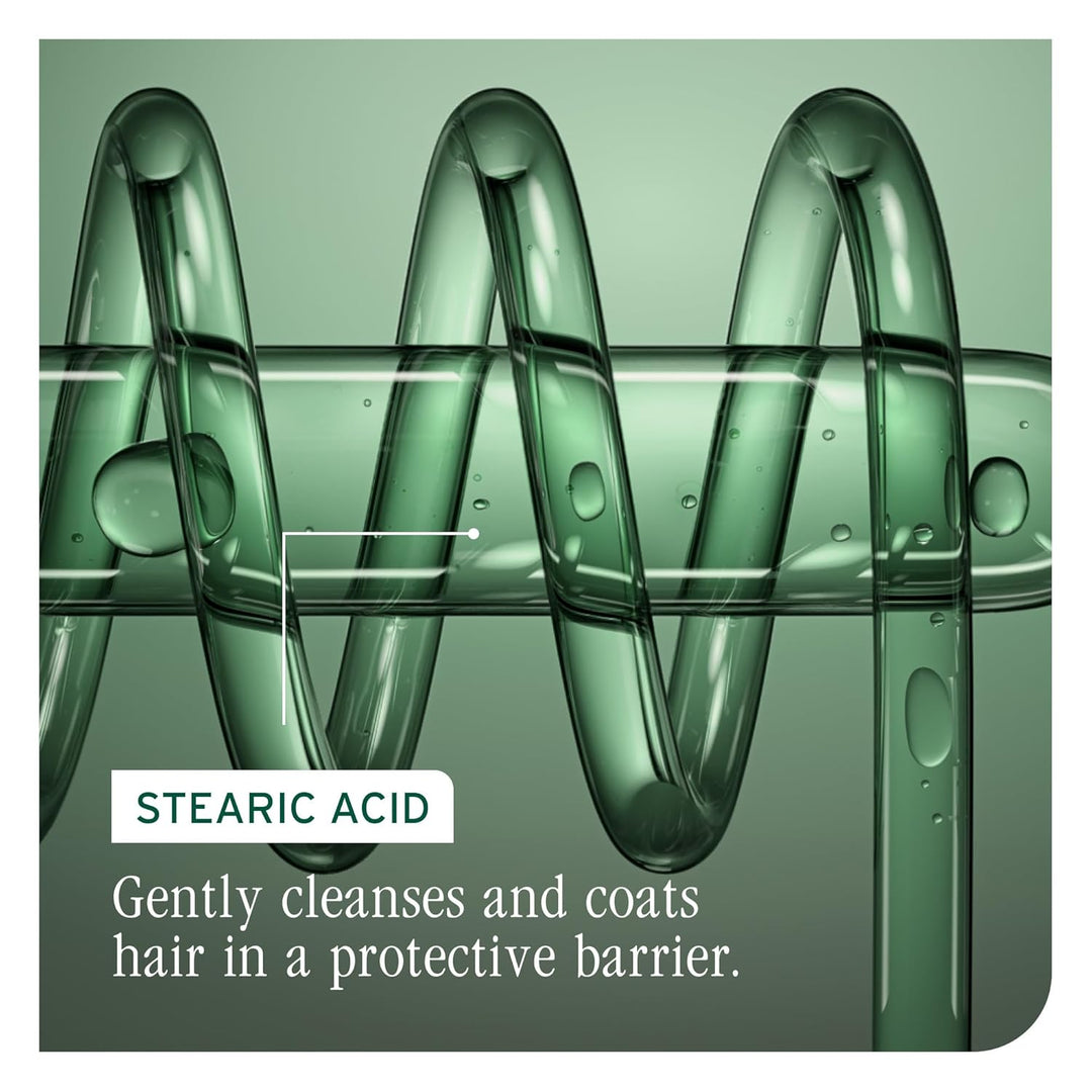 Biolage Acondicionador Color Last - Protege y preserva el cabello t...