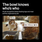 PETLIBRO Alimentador automático para gatos 2 gatos, registro de admisión de