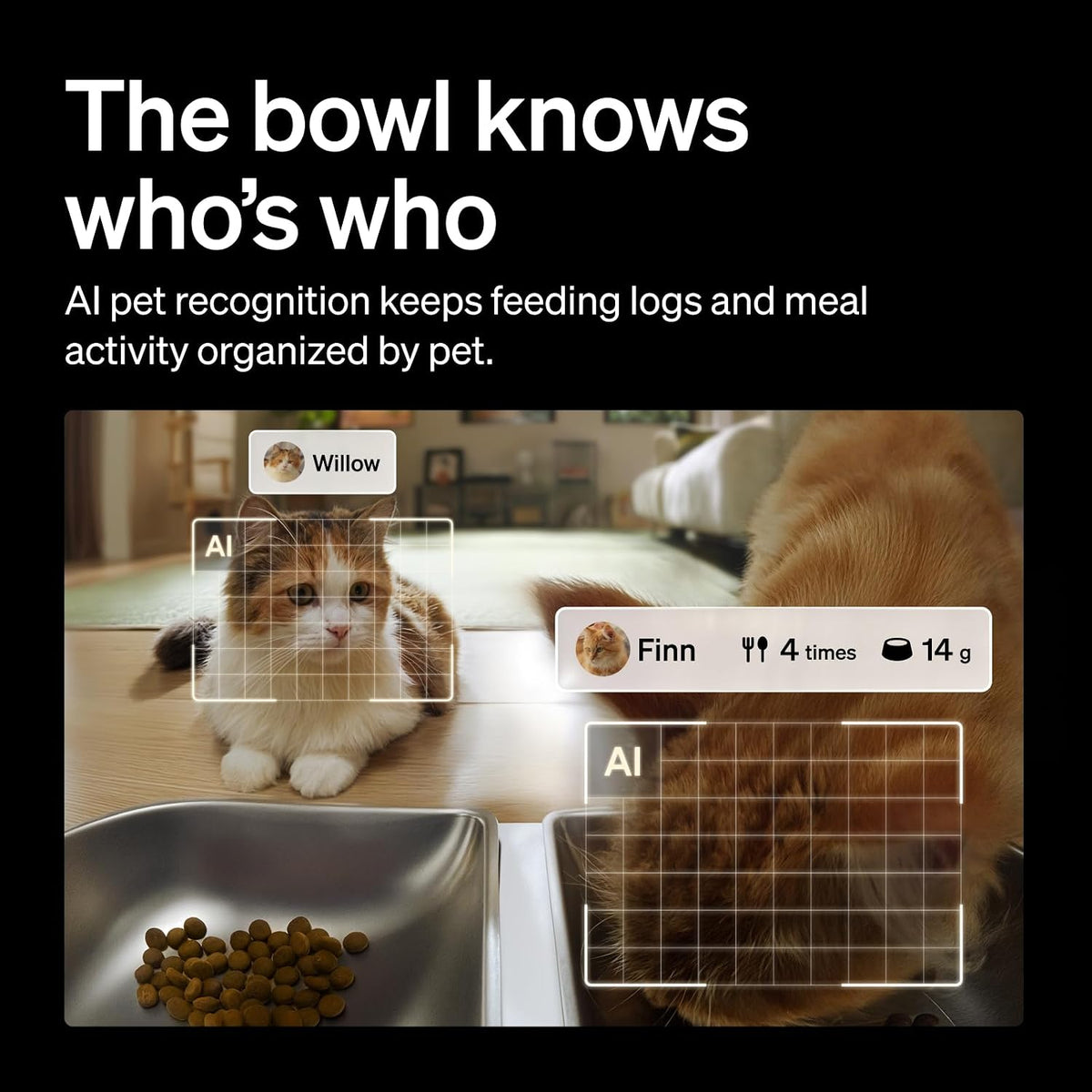 PETLIBRO Alimentador automático para gatos 2 gatos, registro de admisión de
