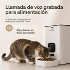 Alimentador automático para gatos con aplicación: dispensador de alimentos
