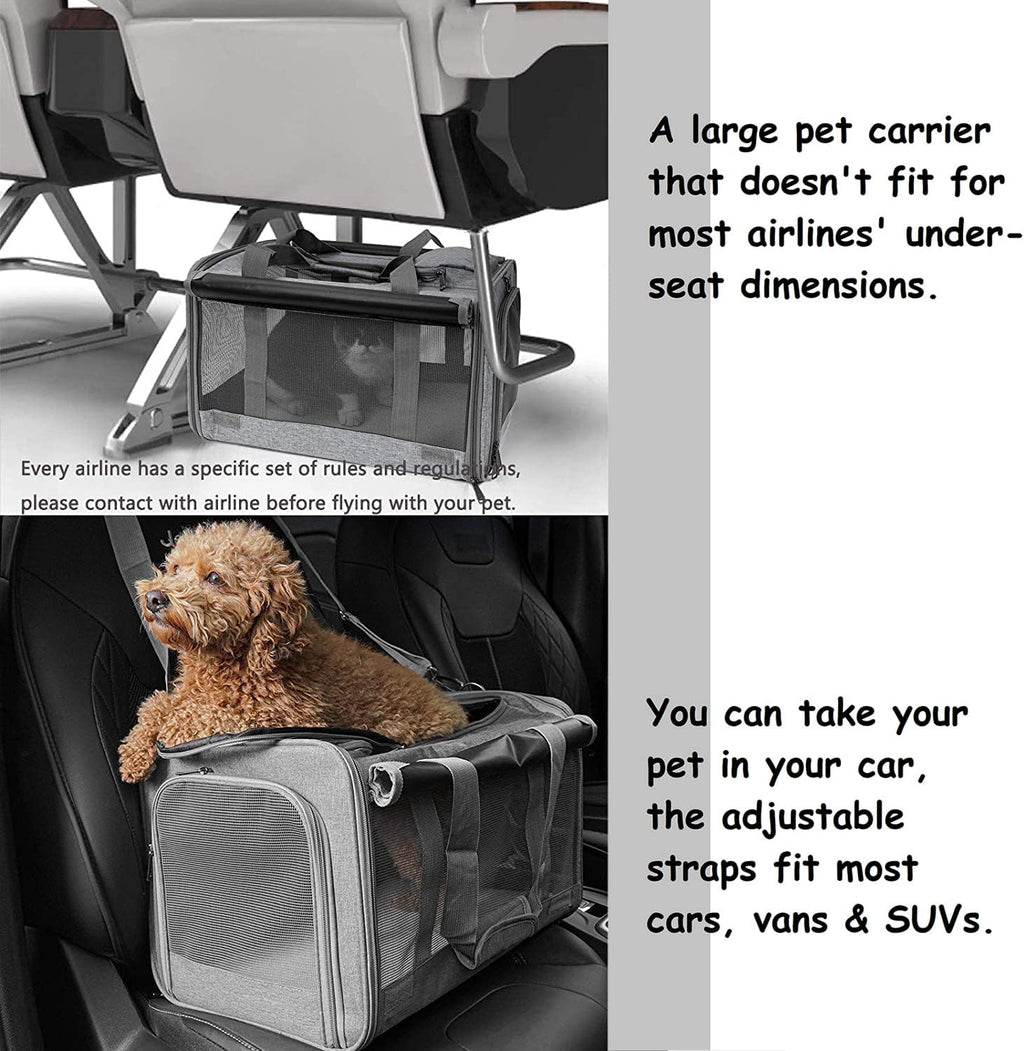 Transportador de mascotas para gatos grandes de hasta 20 libras de