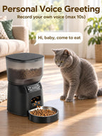 Alimentador automático para gatos y fuente de agua para gatos