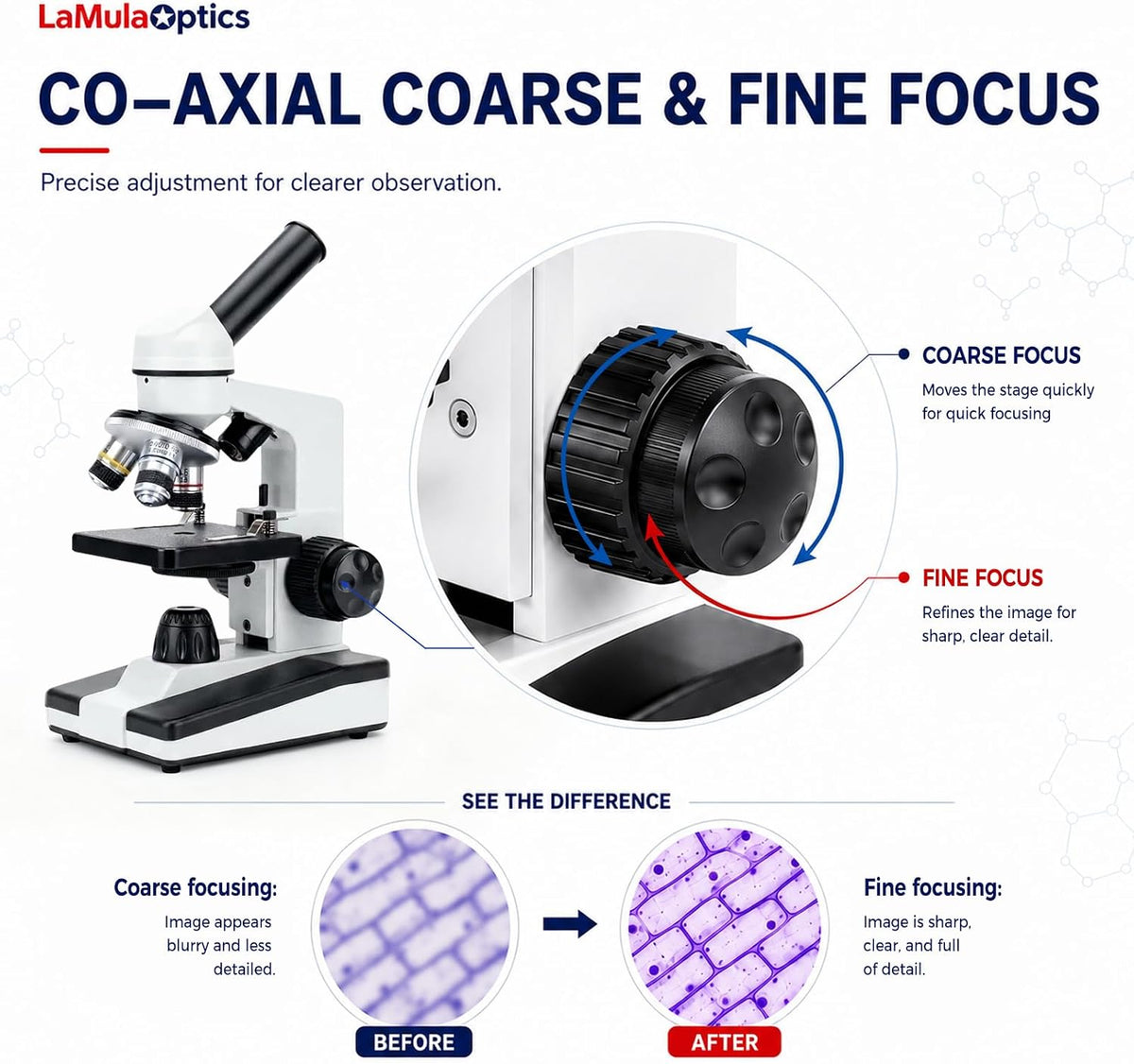 Microscopios 40X-2000X para estudiantes adultos, kit completo de microscopio con diapositivas y adaptador de teléfono