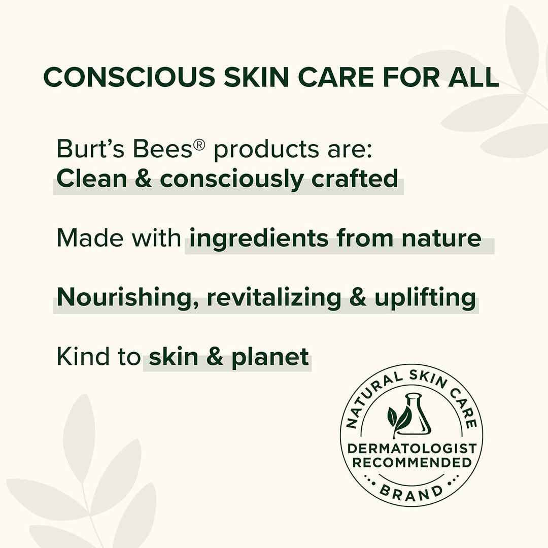 Burt's Bees Bálsamo labial hidratante de karité y aloe, hidrata...