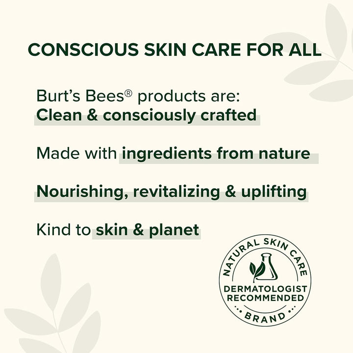 Burt's Bees Bálsamo labial hidratante de karité y aloe, hidrata...
