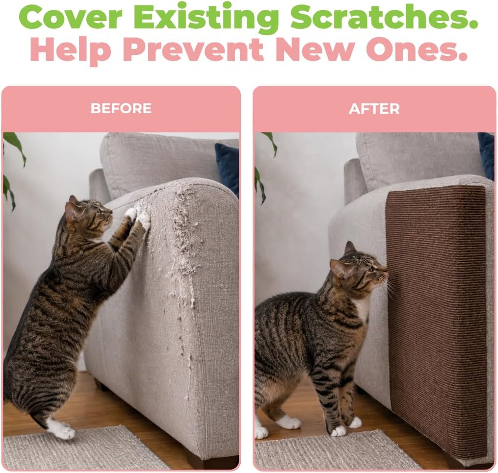 Catify - Alfombrilla rascador para gatos pelar y pegar, color marrón