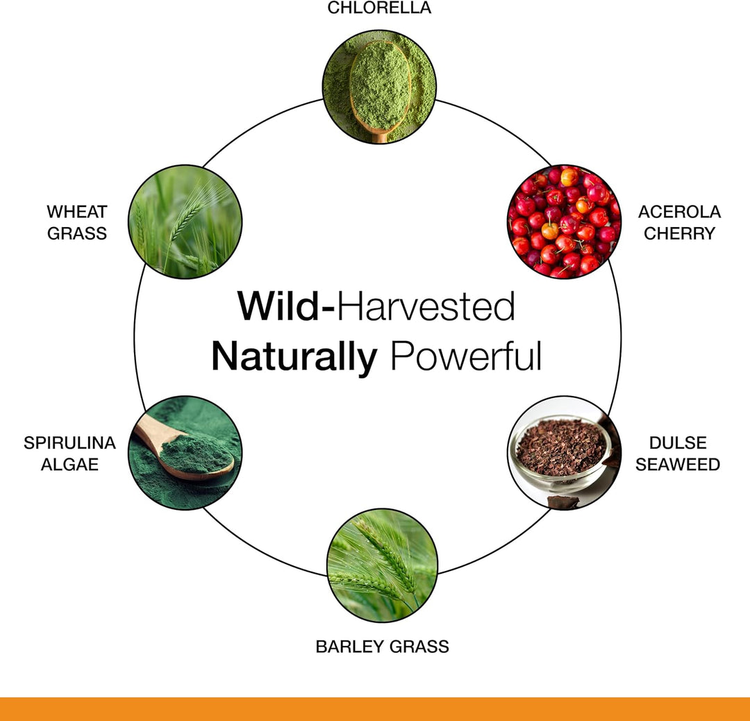 Dr. Schulze's SuperFood 100 - Suplemento de superalimento diari...