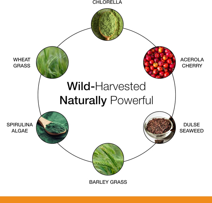 Dr. Schulze's SuperFood 100 - Suplemento de superalimento diari...