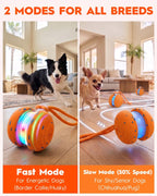 Pelota interactiva para perros, balanceo irregular y juguete activado