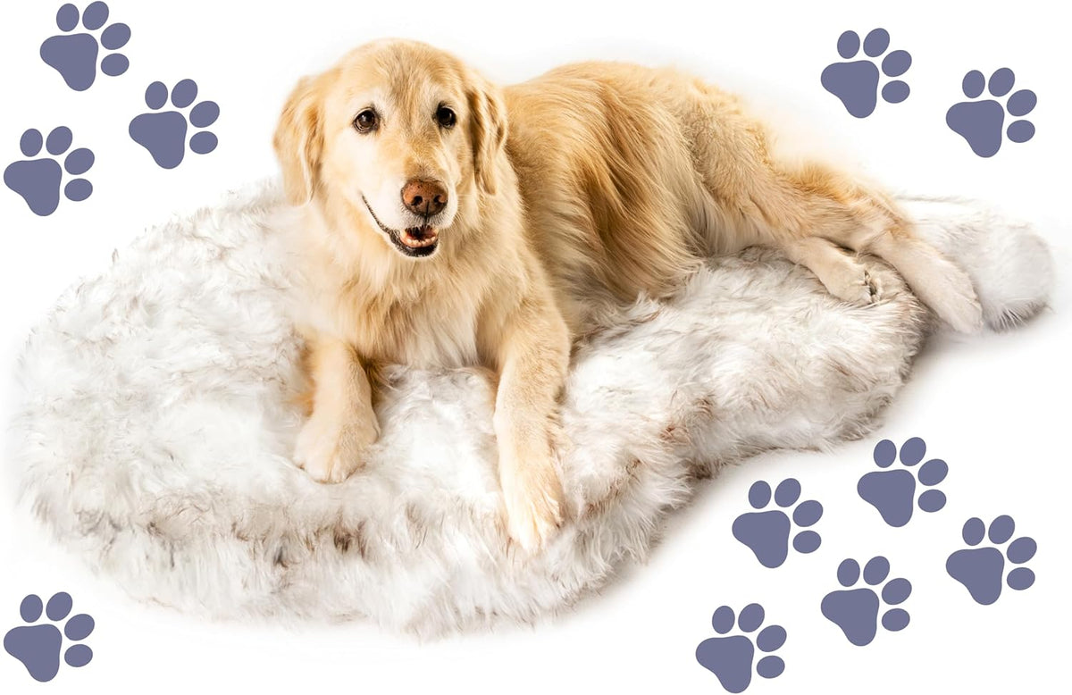PupRug - Cama ortopédica de espuma viscoelástica para perro