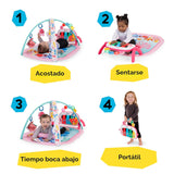 Baby Einstein Ocean Explorers 4 en 1 Kickin Tunes Jellyfish Jambore...