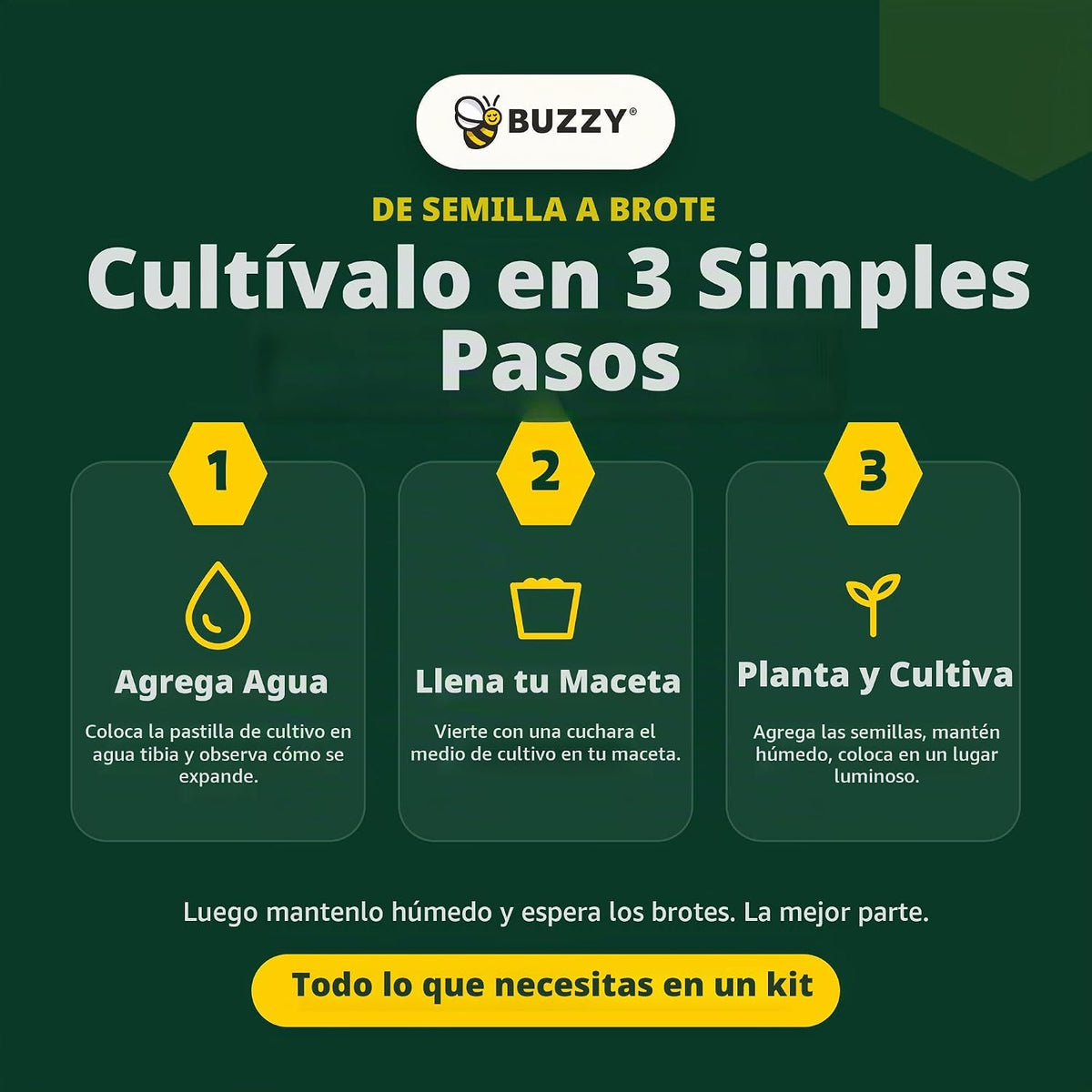 BUZZY Seeds Kit de cultivo Forget-Me-Not - Paquete de 12, macetas de