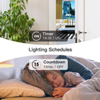 TREATLIFE Paquete de 4 interruptores inteligentes de 3 vías, interruptor de luz inteligente Wi-Fi de 2.4 GHz, funciona con Alexa, Google Home y SmartThings, control remoto, FCC, programación, requiere