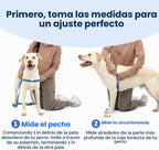 PetSafe Easy Walk - Arnés para perro, sin tirones, gris carbón, grande