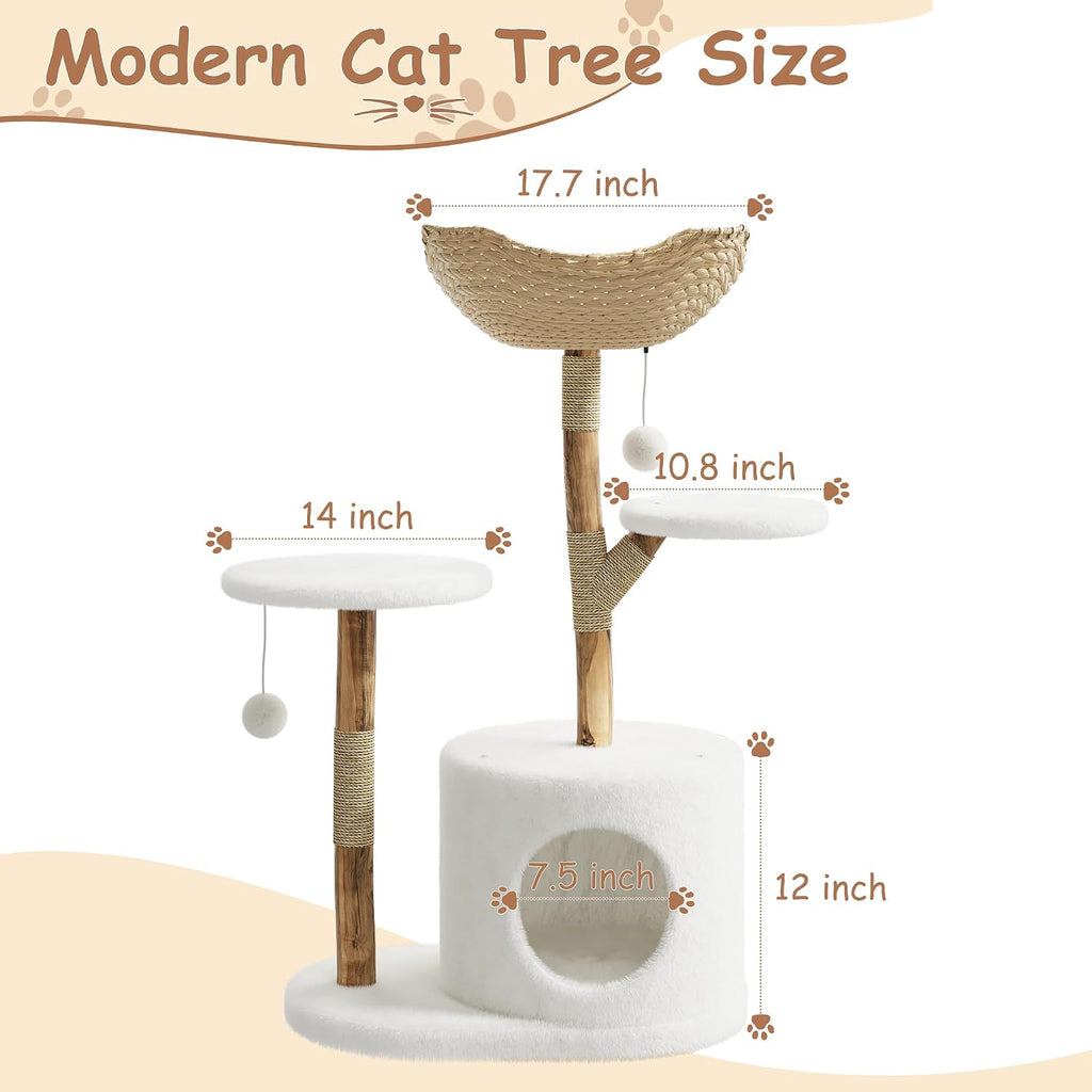 Garvee Torre de árbol de madera para gatos, interior y apartamento de mimbre natural con columna de captura de gatos y cama, marco de árbol estético