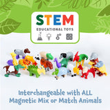 Juego de juguetes magnéticos para mezclar o combinar