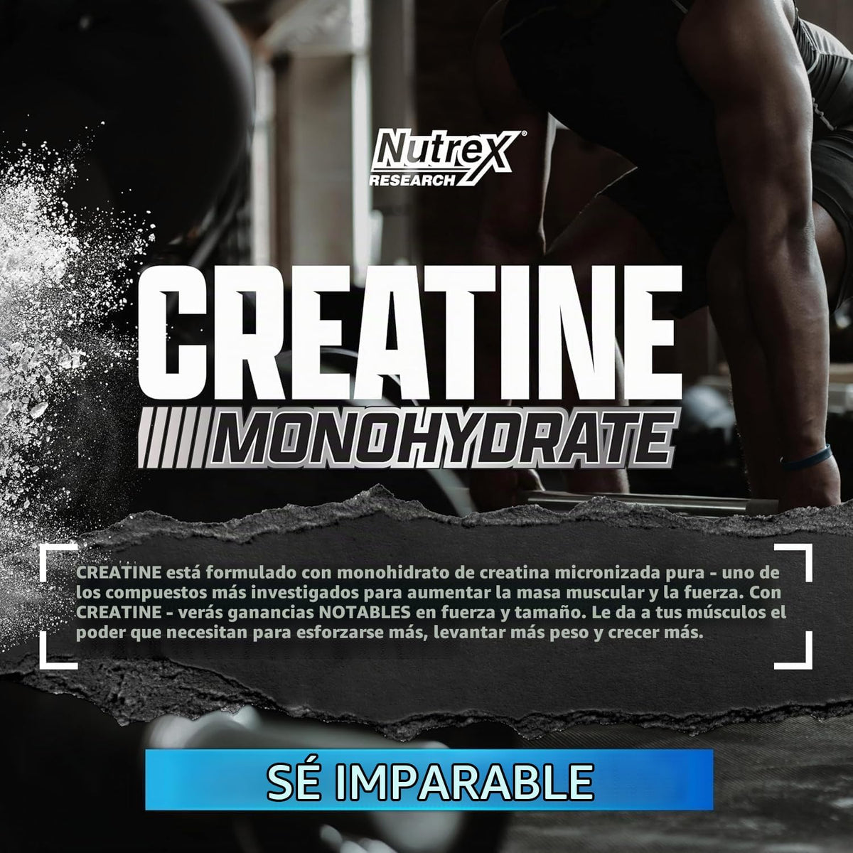 Nutrex Research Polvo de monohidrato de creatina ultra pura sin sab...