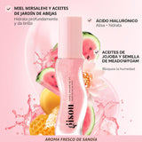Gisou Aceite labial con infusión de miel, aceite labial hidratante...
