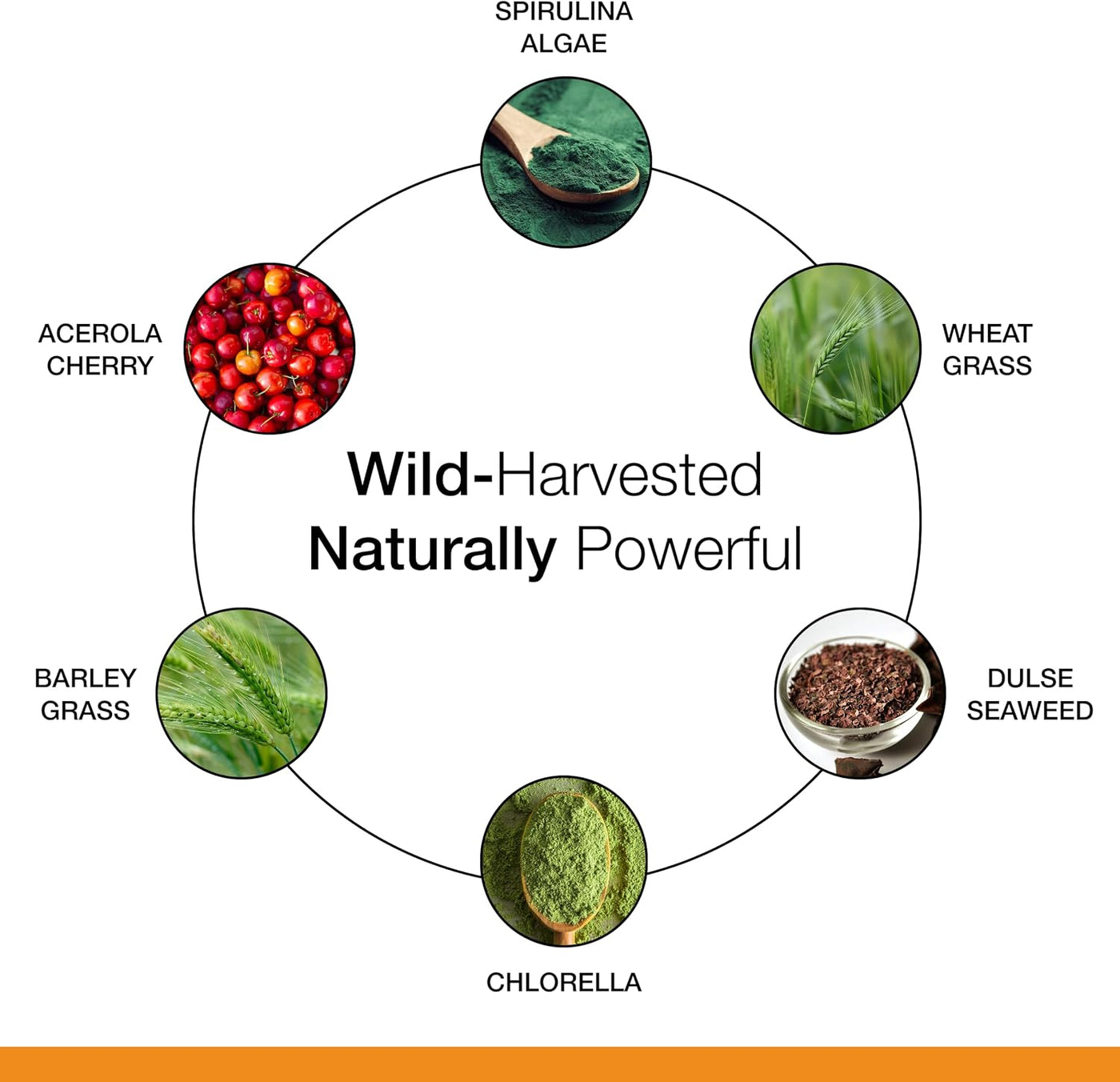 Dr. Schulze's SuperFood 100 - Suplemento de superalimento diari...