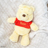 Muñecos de peluches preferidos de los niños de Disney