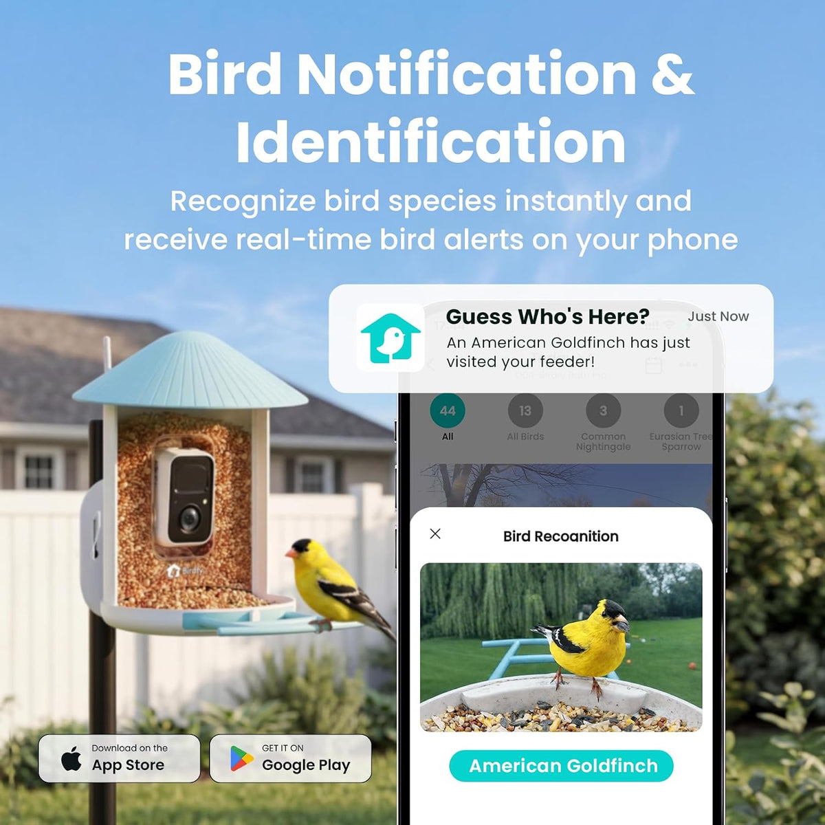 NETVUE by Birdfy - Comedero inteligente para pájaros con cámara AI HD 2K alimentado por energía solar, observación inalámbrica de aves silvestres, transmisión en vivo y visión nocturna a color