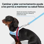 VETRESKA Juego de arnés y correa para perro, arnés ajustable para mascotas