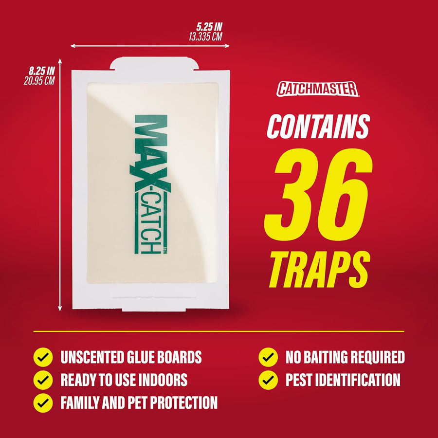 Catchmaster Max-Catch - Trampas de pegamento para ratones e insecto...