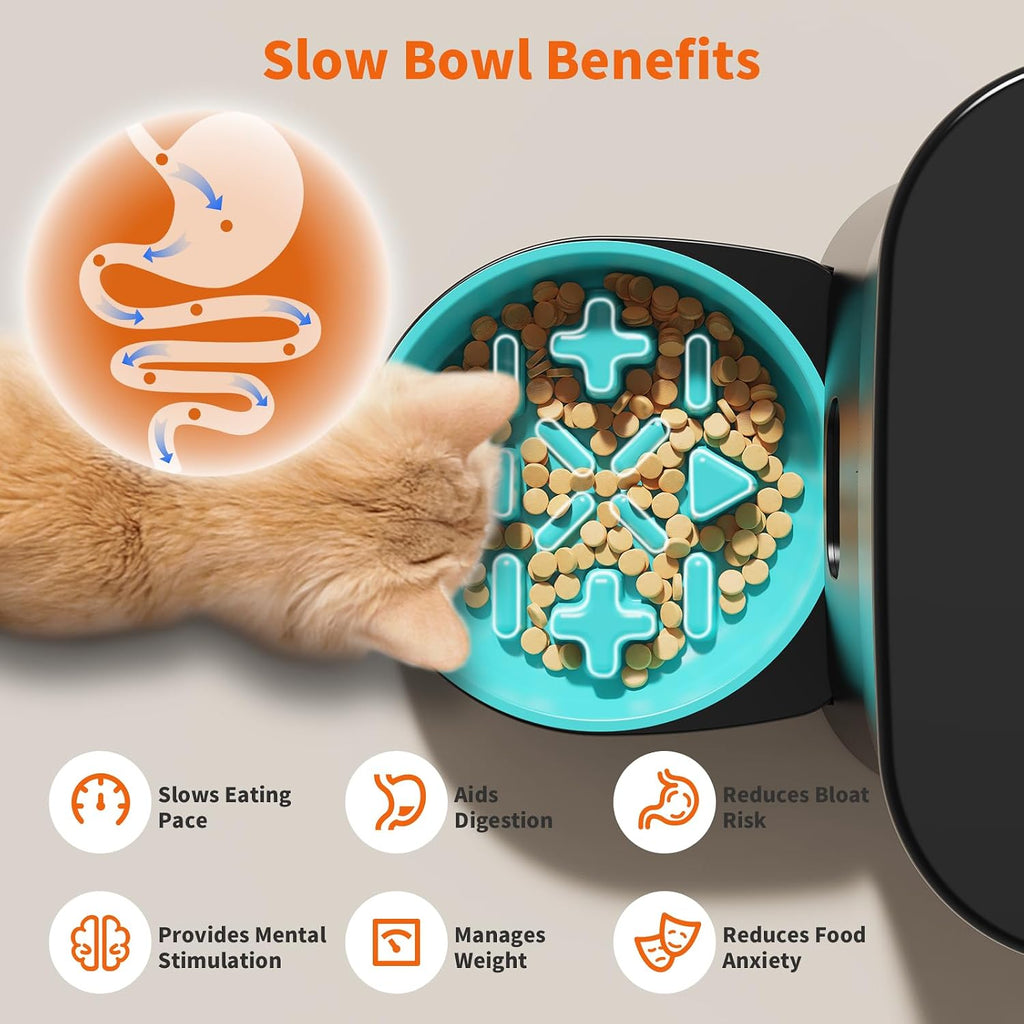 HoneyGuaridan Alimentador automático para gatos para 2 gatos, control de