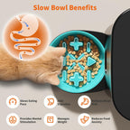 HoneyGuaridan Alimentador automático para gatos para 2 gatos, control de