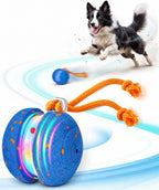 Juguetes interactivos para perros, bola automática de movimiento
