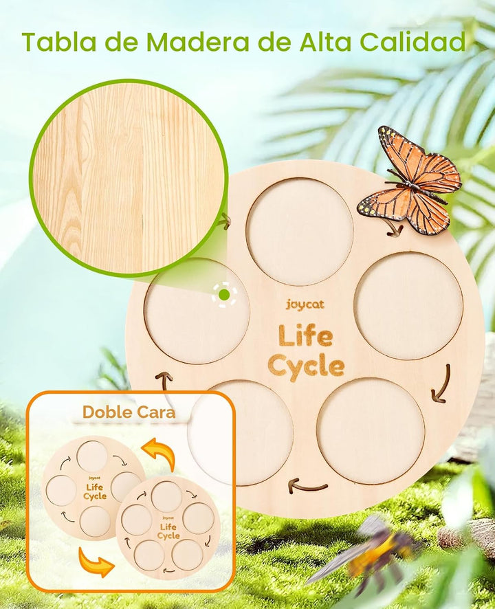 JoyCat Juguetes Educativos de Aprendizaje del Ciclo de Vida, Kit de...