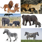 Juguetes de figuras de animales de zoológico de safari, 14 piezas realistas de animales de la selva, animales africanos de plástico salvajes con león, juego educativo de elefante para niños pequeños