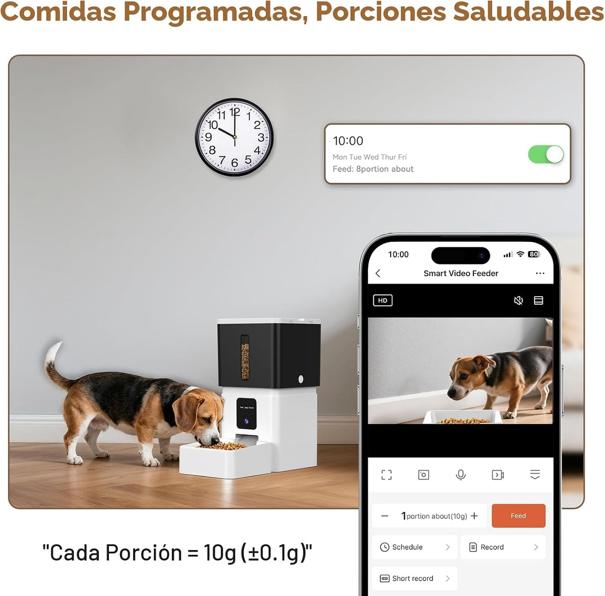 UTCG Comedero Automático para Perros con Cámara: 8L/33 Tazas 5G WiFi