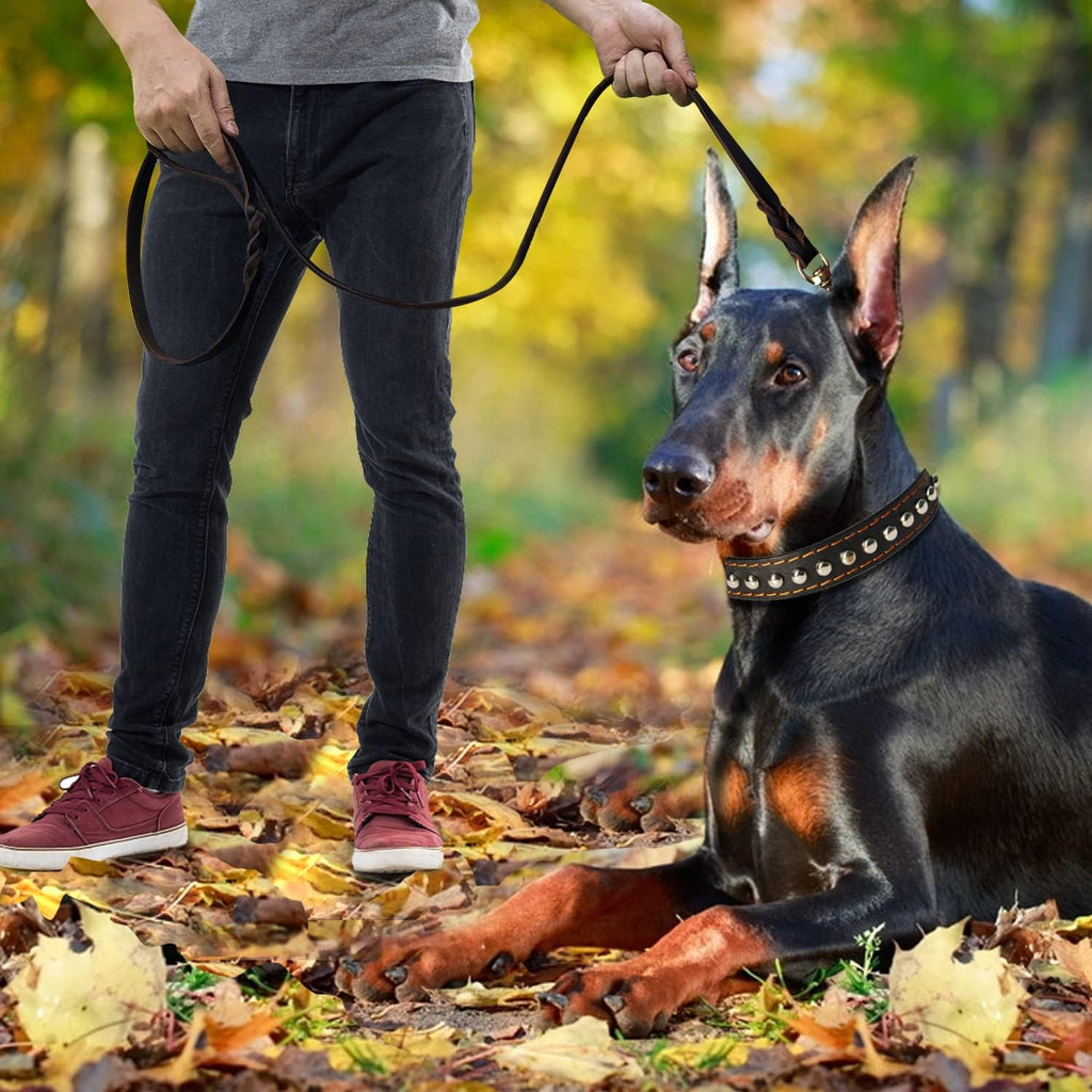 LWBMG Correa de cuero para perro de 8 x 3/4 pulgadas, correas de perro para perros grandes, resistentes, fuertes y suaves, hechas a mano, trenzadas a mano, correa de cuero cómoda para perros grandes
