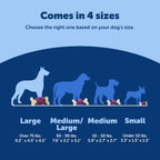 PetSafe Busy Buddy Bouncy Bone - Juguete ajustable 3 en 1 de alimentación lenta con anillos de golosinas recargables, limpia dientes y encías, cura el aburrimiento y ralentiza los hábitos alimenticios