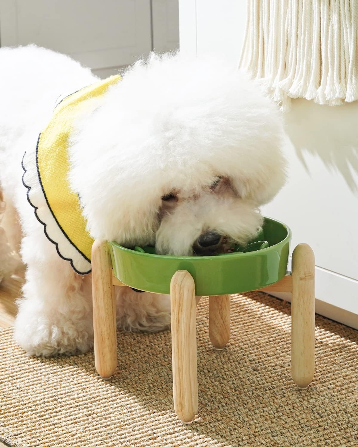 LE TAUCI Cuencos de cerámica para perros de alimentación lenta, elevados para razas pequeñas, anti-engullimiento, antideslizantes, 6 pulgadas, verde
