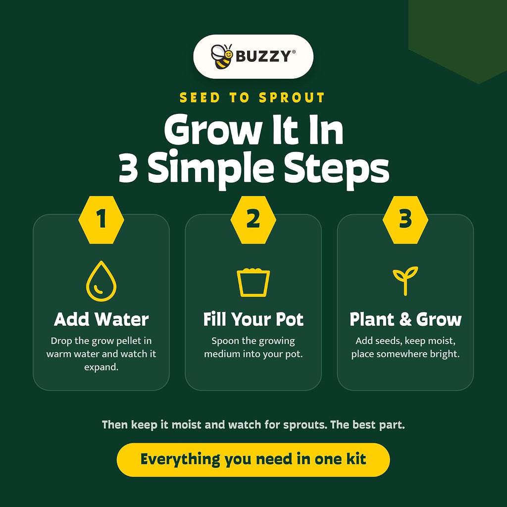Buzzy Seeds - Vasos de bola de semillas de flores silvestres, paquete de 6