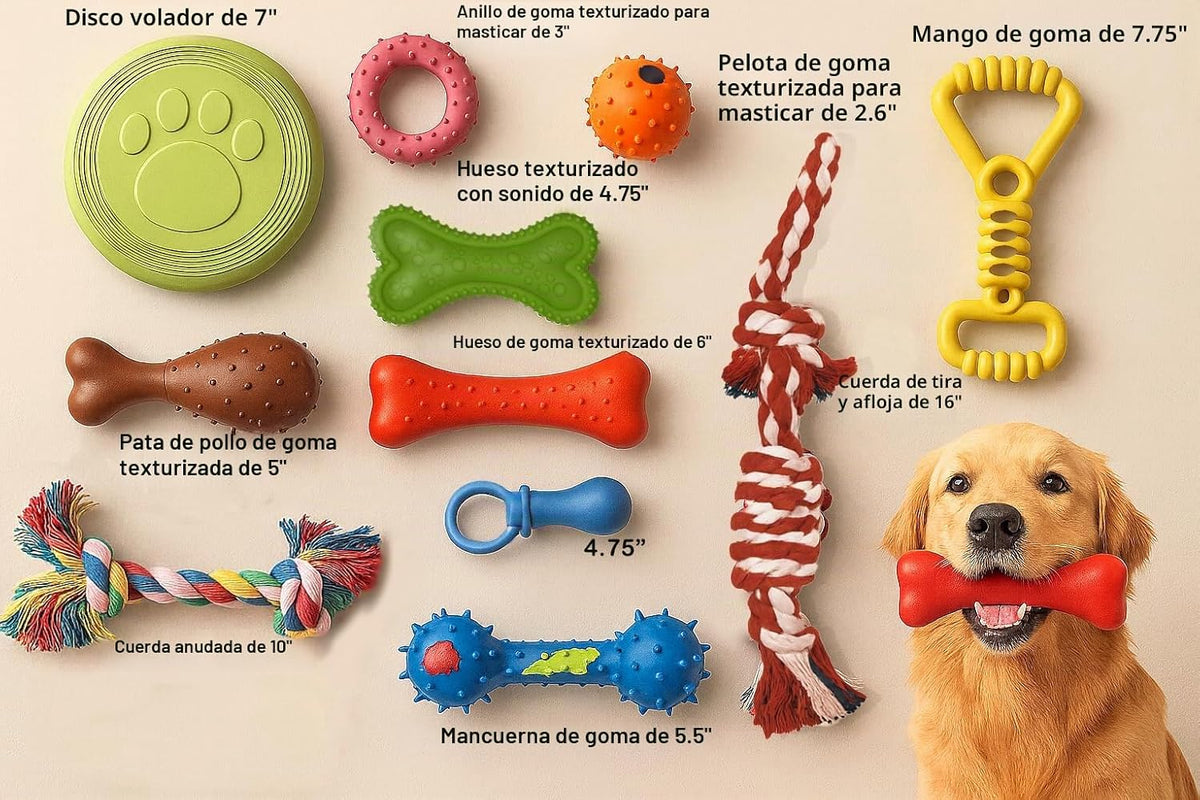 Jalousie, juguete de masticación de goma natural para juego interactivo, pelota de juguete, cuerda de goma, juego de valor para razas pequeñas a medianas, perro mestizo, cachorro