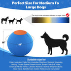 Happypaw 3.0 2026 - Pelota de pastor para perros de 25 pulgadas, resistencia mejorada a la masticación y material resistente, equipo de agilidad de juguete para perros para pastores australianos