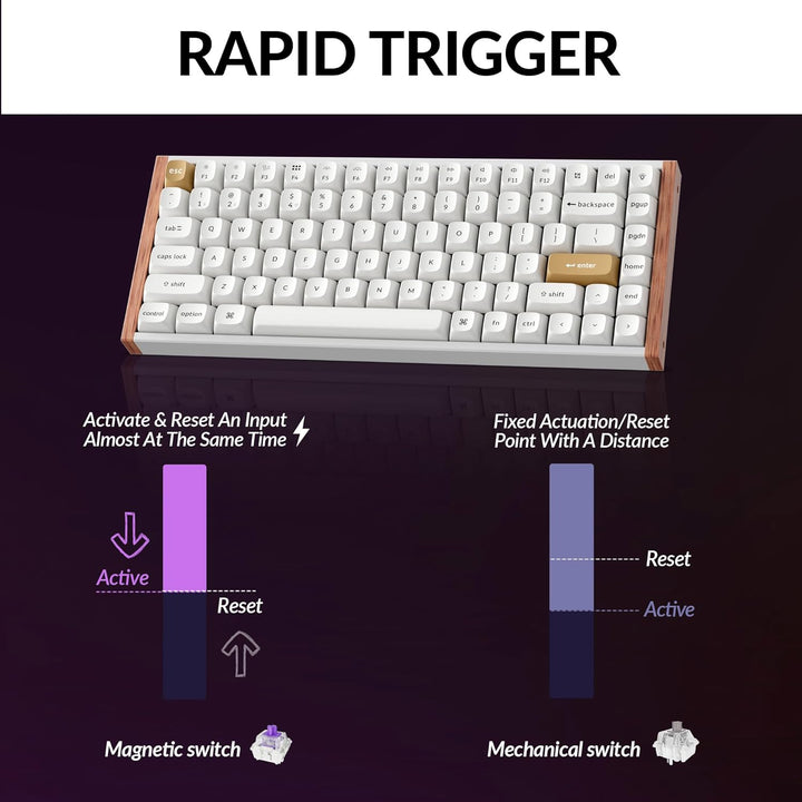 Teclado mecánico inalámbrico Keychron K2 HE Rapid Trigger con inter...
