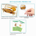 Set de 12 especímenes marinos en resina – Colección real de criaturas marinas de taxidermia con lupa para decoración de biología marina, exhibición y regalo para amantes del océano