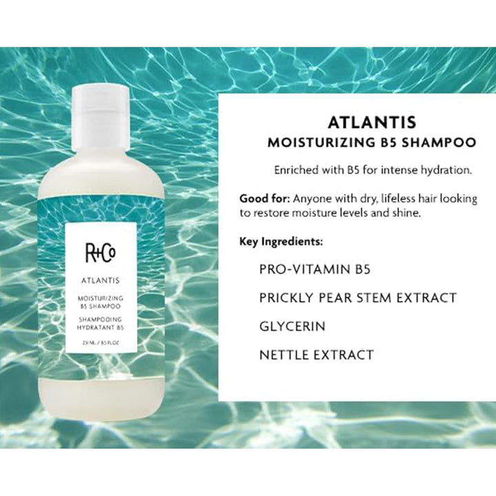 R+Co ATLANTIS Moisturizing B5 Shampoo \u2013 Hydrating &amp; Streng...